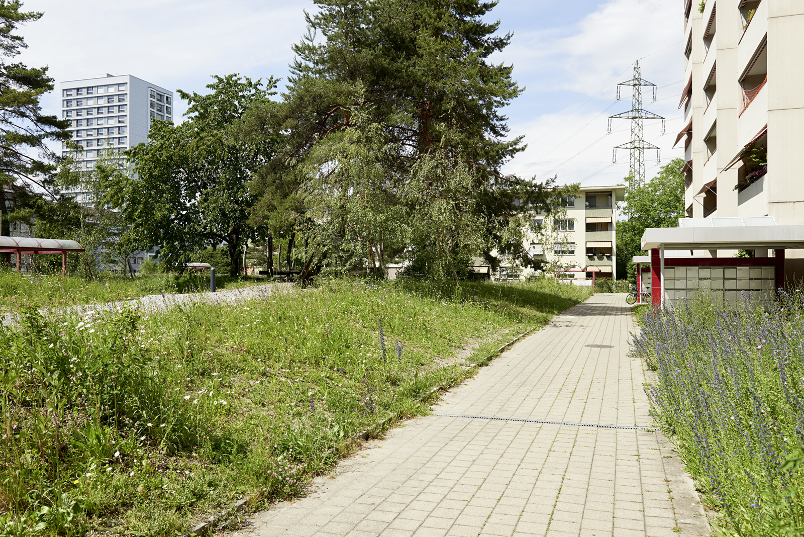 204_dsc6542-web