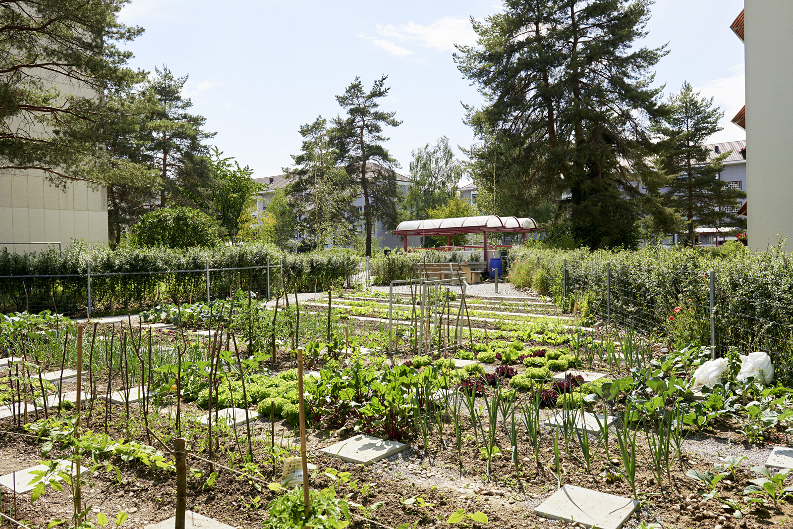 204_dsc6571-web