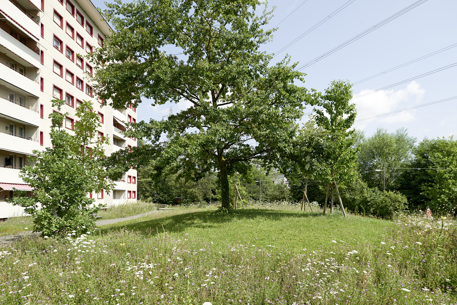 204_dsc7185-web
